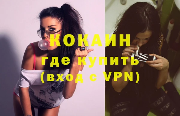 мдпв Ладушкин