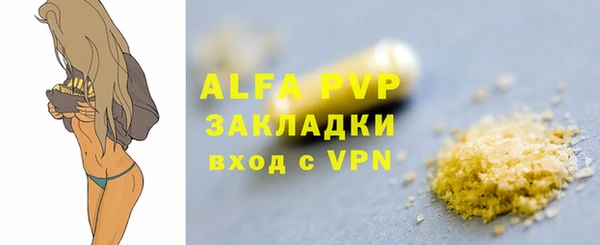 индика Лагань