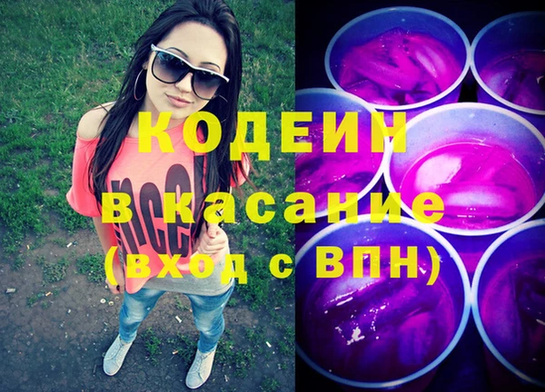 индика Алзамай