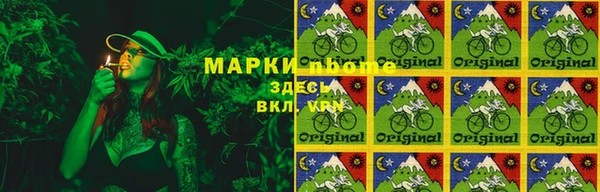 индика Алзамай