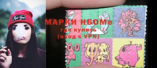 индика Алзамай
