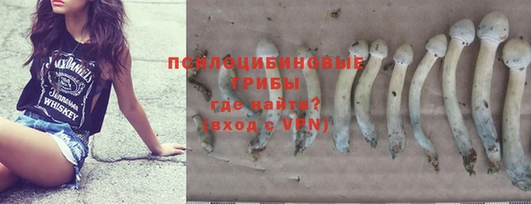индика Алзамай